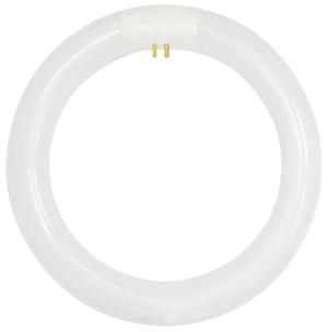 O-Shape LED Lampen