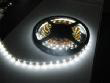 CREE chip 3528 led strip MDZ91008C