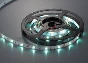 SMD 3528/5050 & 3535(Single color) SMD 3528/5050 & 3535(Single color)