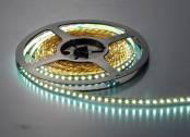 SMD 3528/5050 & 3535(Single color) SMD 3528/5050 & 3535(Single color)