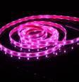 Type E - Crystal strip
(without cover only glue on the top Indoor use only - 3M tape Waterproof LED Flexible Strip Lights